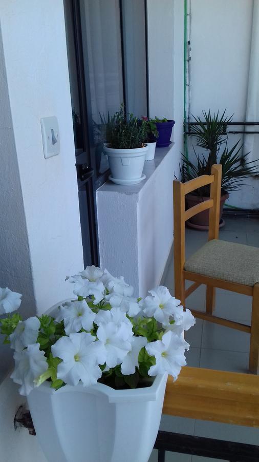 Kruja Hostel Kültér fotó