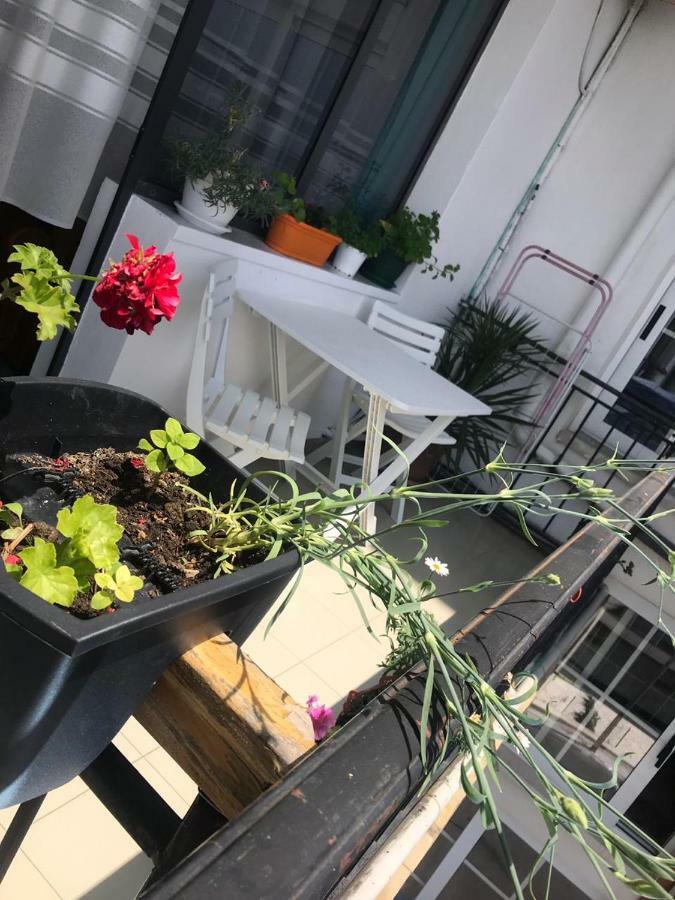 Kruja Hostel Kültér fotó